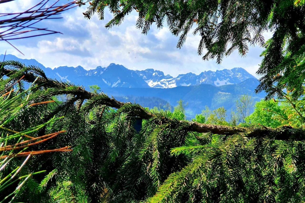 Tatrzanska Rezydencja Pod Brzyzkiem Zakopane Luaran gambar