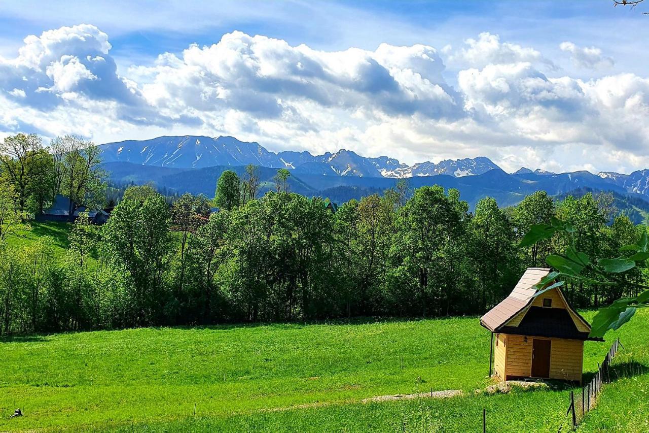 Tatrzanska Rezydencja Pod Brzyzkiem Zakopane Luaran gambar